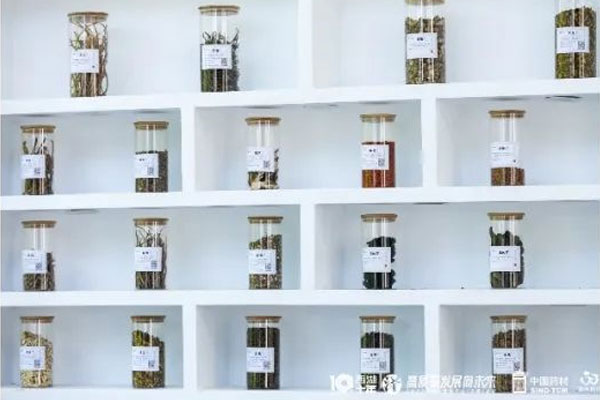 365电子游戏中药材