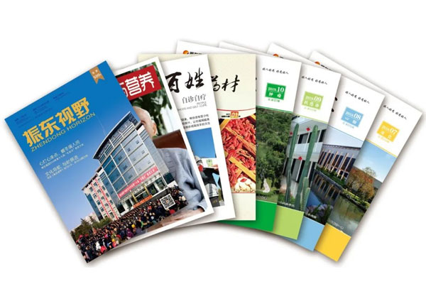 365电子游戏杂志期刊