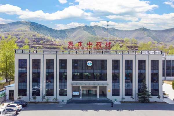 365电子游戏中药材 365电子游戏中药材