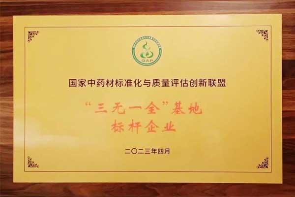365电子游戏,365电子游戏