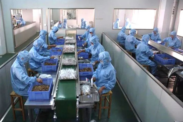 365电子游戏中药饮片车间 365电子游戏中药饮片车间