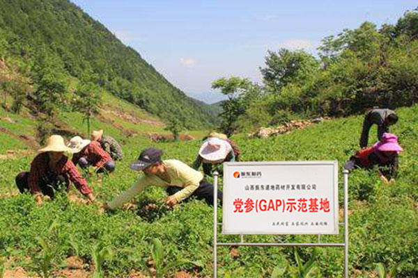 中国·365电子游戏(股份)有限公司-官方网站