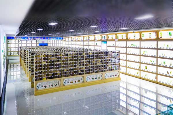 365电子游戏科技中心中药标本馆 365电子游戏科技中心中药标本馆
