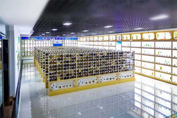 365电子游戏科技中心中药标本馆 365电子游戏科技中心中药标本馆