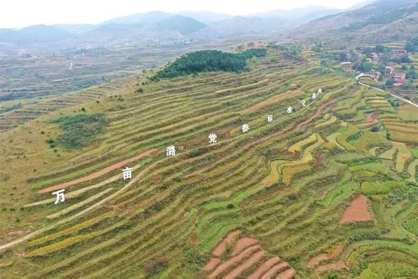 药食同源,五和医养堂,五和 药食同源,五和医养堂,五和