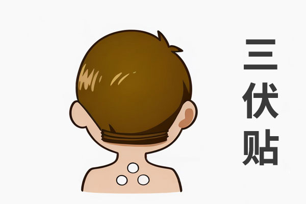 三伏贴 三伏贴