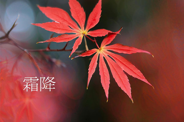 中国·365电子游戏(股份)有限公司-官方网站