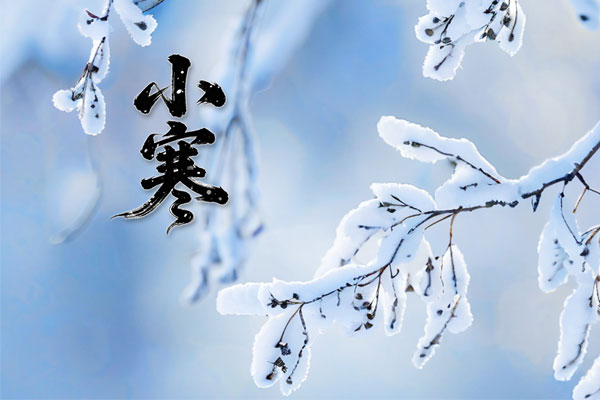 小寒养生,三防三养三动,健康养生 小寒养生,三防三养三动,健康养生